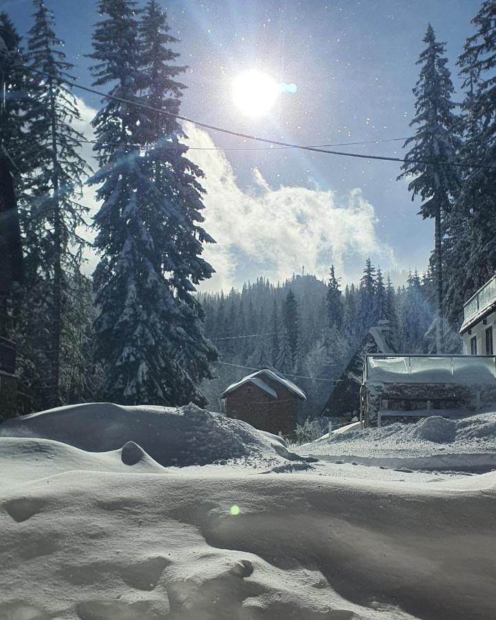 Jahorina Villa In Exteriér fotografie